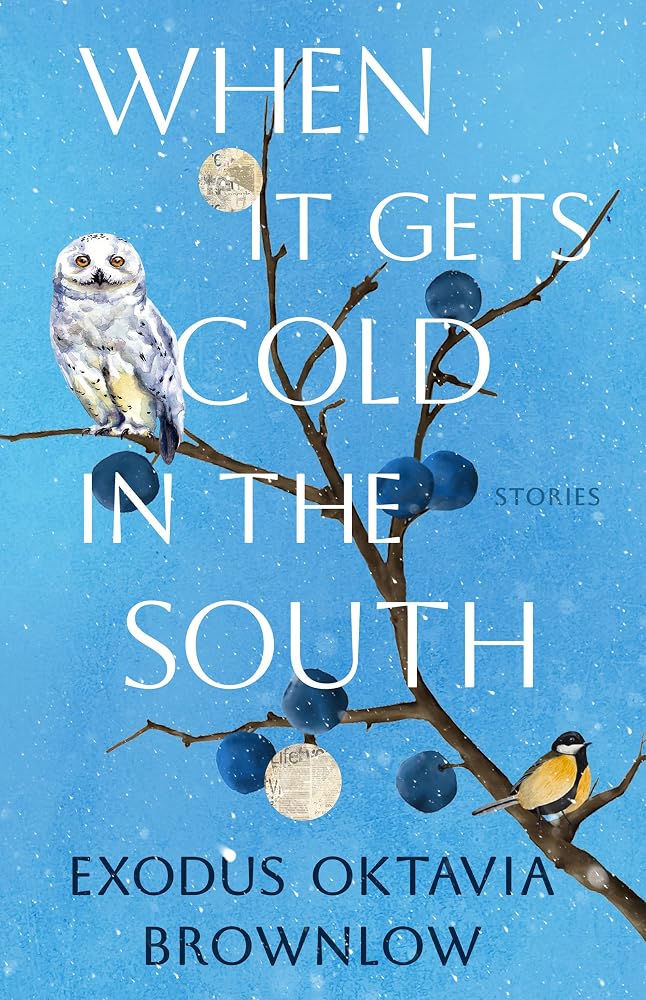 When It Gets Cold in the South: Stories cover image