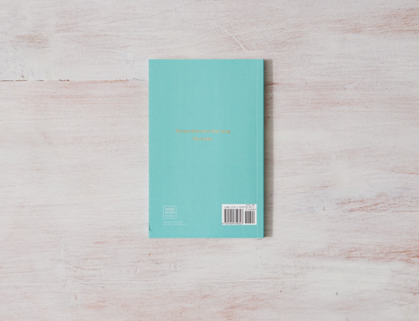 When The Bee Stings by Raquel Franco (Paperback)