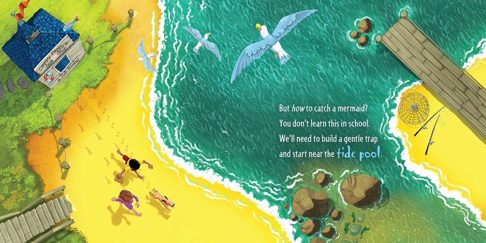 How to Catch a Mermaid by Adam Wallace (Hardcover)