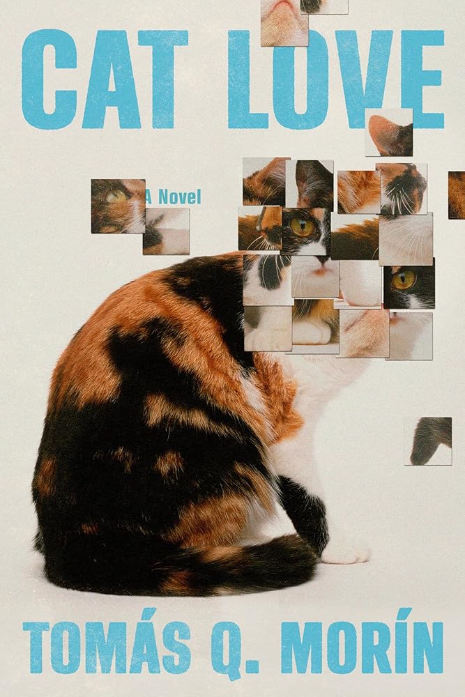 Cat Love: A Novel cover image