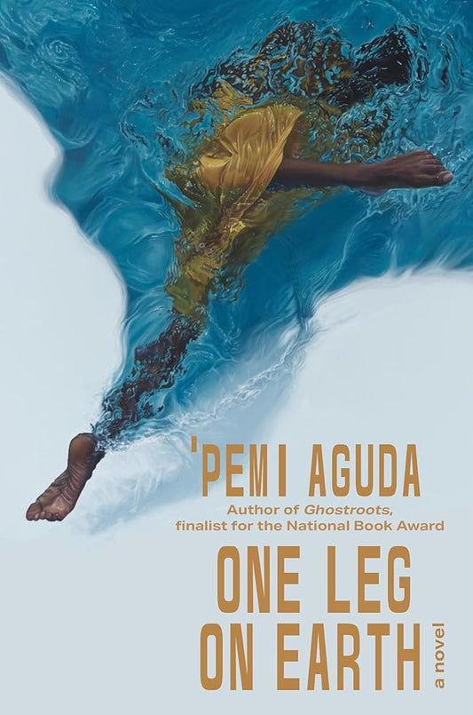 One Leg on Earth: A Novel cover image