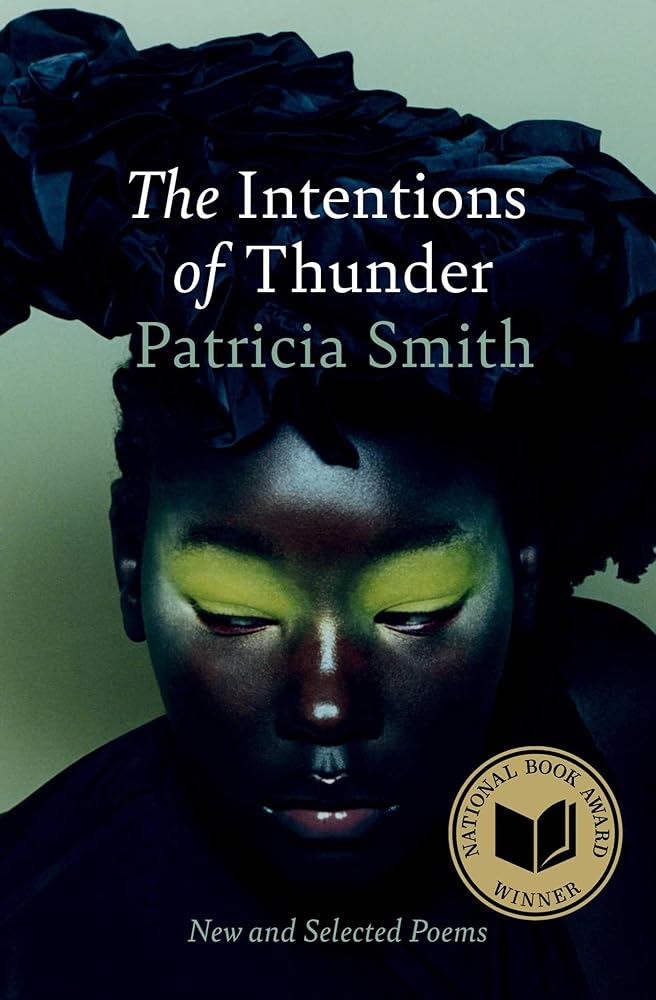 The Intentions of Thunder: New and Selected Poems cover image