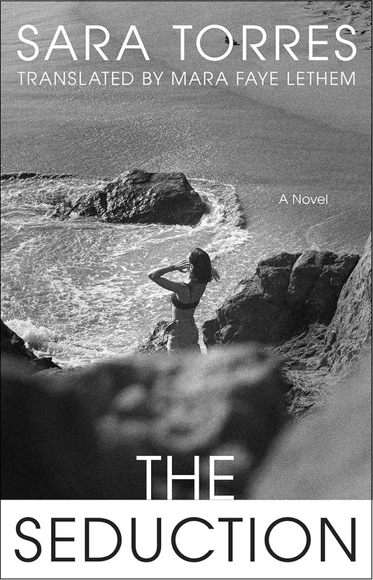 The Seduction: A Novel cover image