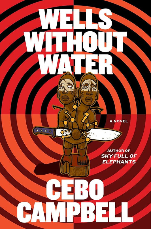 Wells Without Water: A Novel cover image
