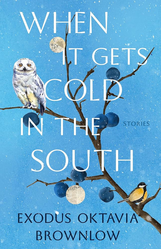 When It Gets Cold in the South: Stories cover image