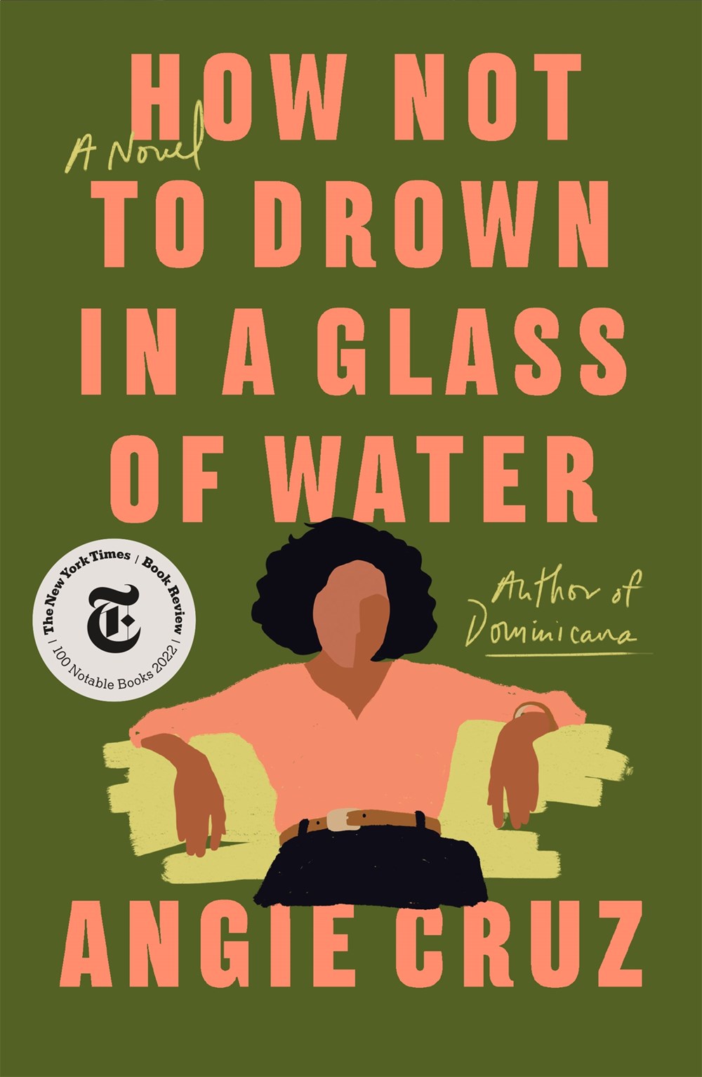 How Not To Drown in a Glass of Water by Angie Cruz (Paperback)