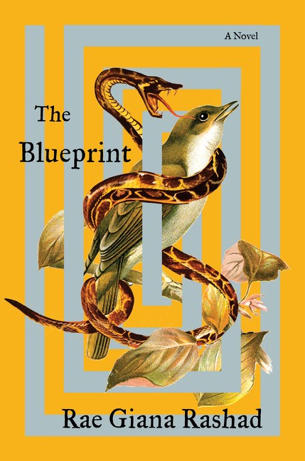 The Blueprint by Rae Giana Rashad (Hardcover) (PREORDER)