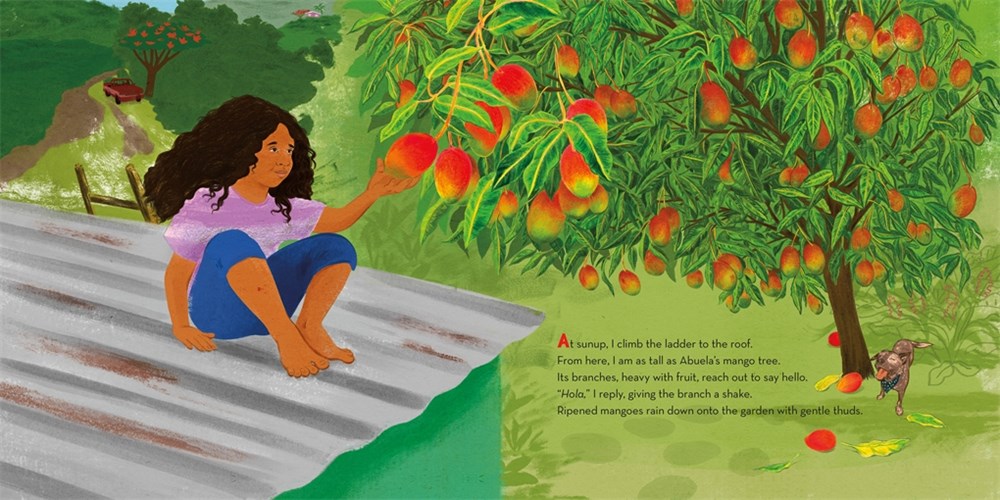 The Coquíes Still Sing: A Story of Home, Hope, and Rebuilding by Karina Nicole González (Hardcover)