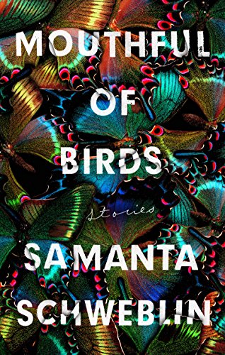Mouthful of Birds by Samanta Schweblin (Hardcover)