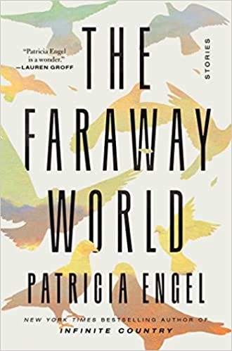 The Faraway World: Stories by Patricia Engel (Hardcover)